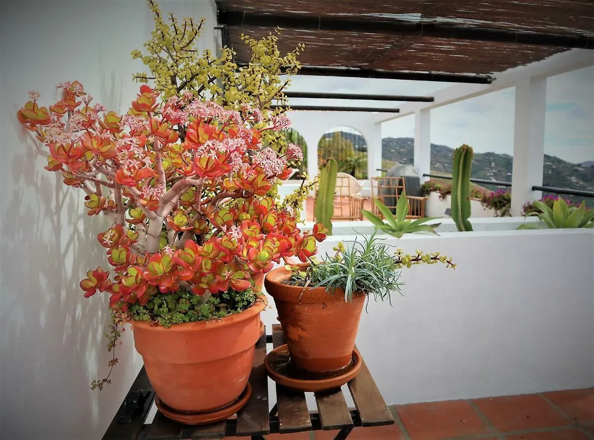 Holiday Home Tranquilidad Arenas  Arenas (Malaga)